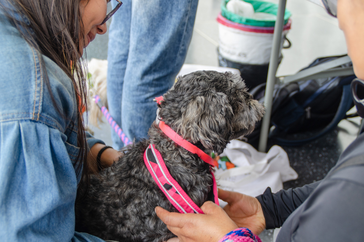 #Fotogaleria | La solidaridad de la comunidad de la <a href="/UNALOficial/">Universidad Nacional de Colombia</a> se demostró una vez más en una exitosa jornada de reciclatón de plástico aprovechable y en un trueque de artículos para mascotas adelantada en la Sede Bogotá.

Detalles aquí: ow.ly/zQCH50TtBAu