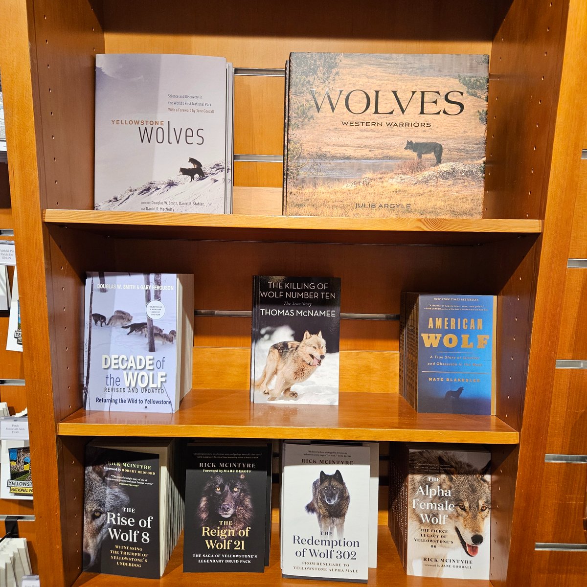 Nick Lilly tweet media