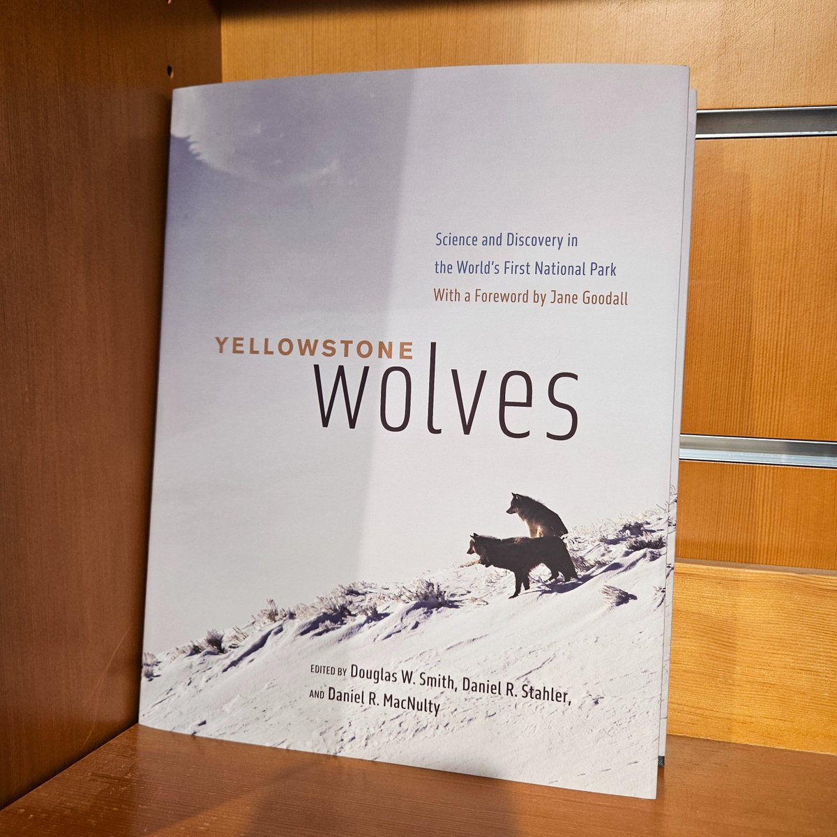 Nick Lilly tweet media