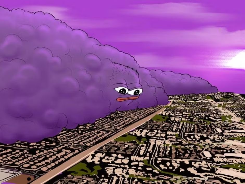 monad's tweet image. Happy 1st birthday Molandak 💜

They grow up so fast