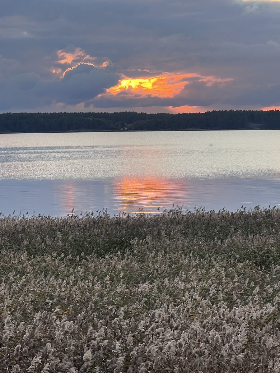 Syysilta 23.9.2024 #Taivassalo