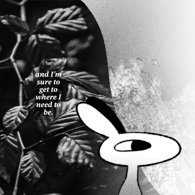11/11 