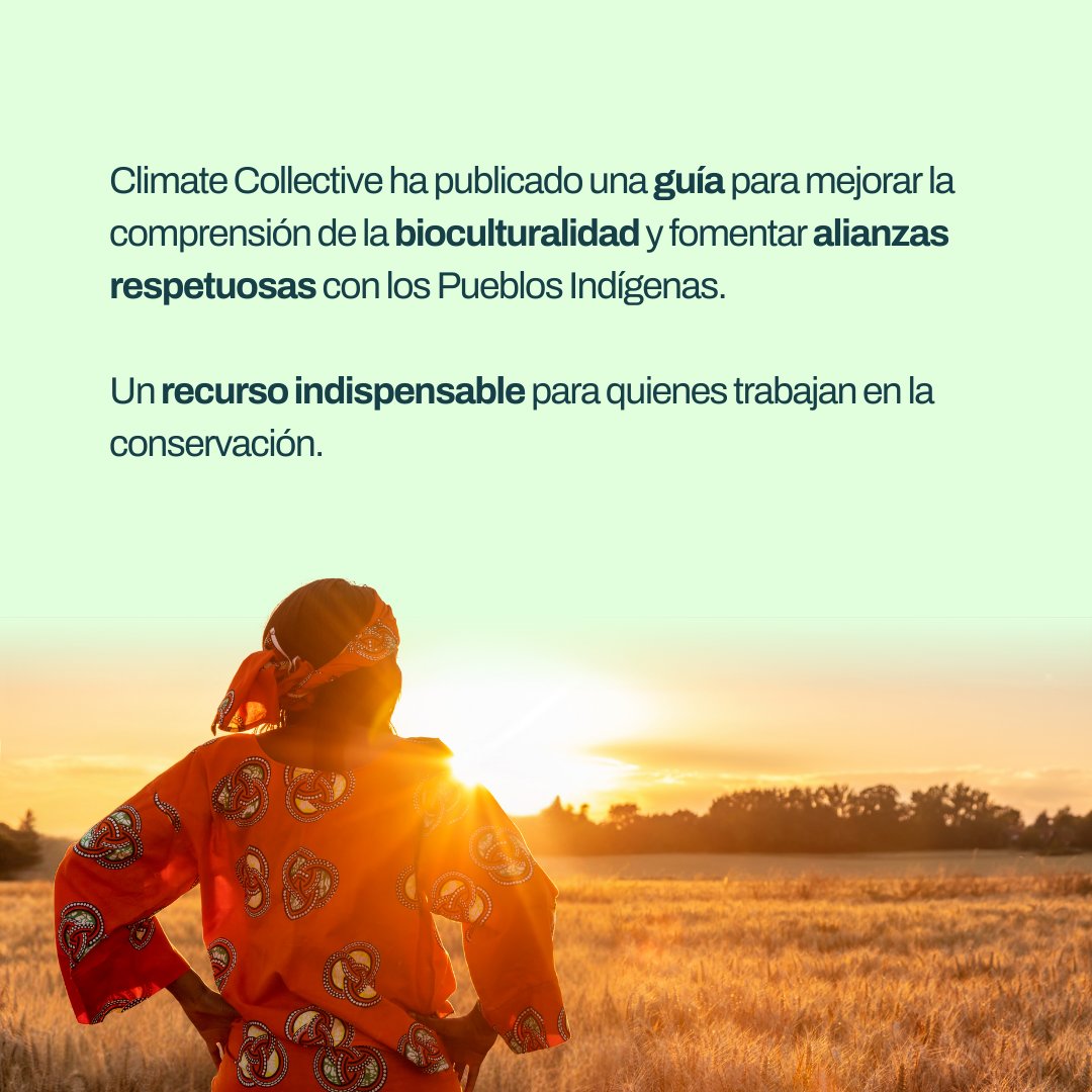 CMinds_co's tweet photo. Nuestro socio @Climate Collective publicó una guía útil para mejorar la comprensión de la bioculturalidad en Pueblos Indígenas para conducir alianzas respetuosas y genuinas.
 El documento está disponible en inglés y español aquí ➡️ https://t.co/nXEZlpjaGH https://t.co/qDPLZuVy9a