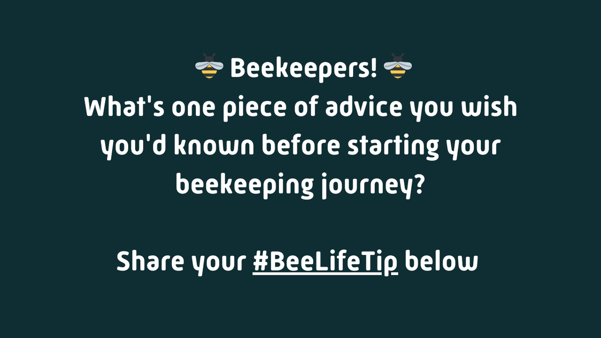 HiveTracks (@knowyourbees) on Twitter photo 
