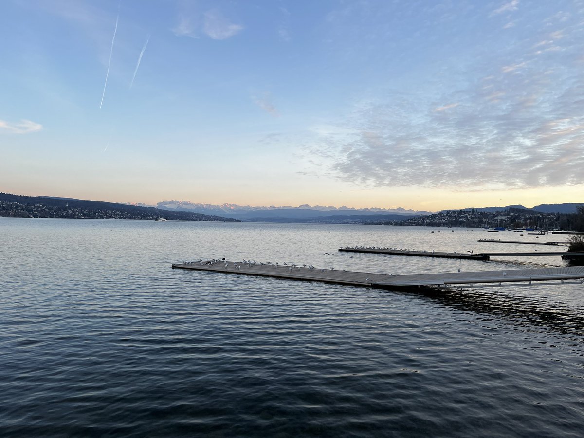 Niklas Lang tweet media