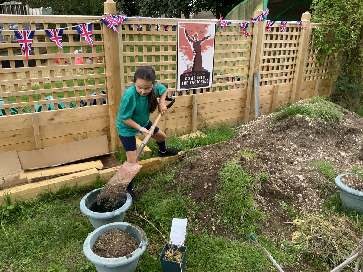 Year Four working hard in the #InspiredToLearn WWII Garden this afternoon.