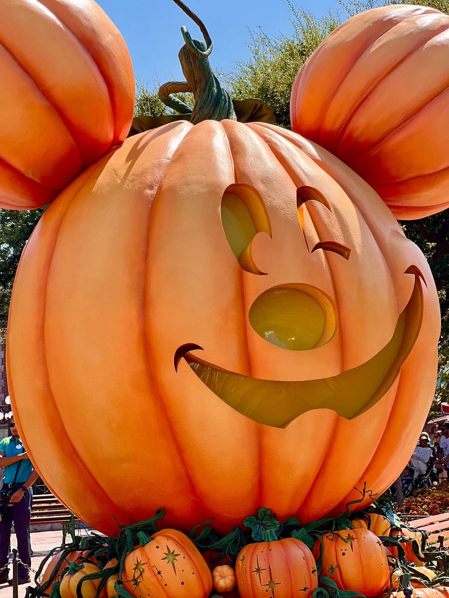 Z903's tweet image. Happy 1st Monday of Fall! 🍂🎃

We've got 4-pack of tix to Disneyland Resort with your name on it! Make sure to tune in with the #HeyMorton crew every morning this week to win! 

For details, head to Z90.com ✨