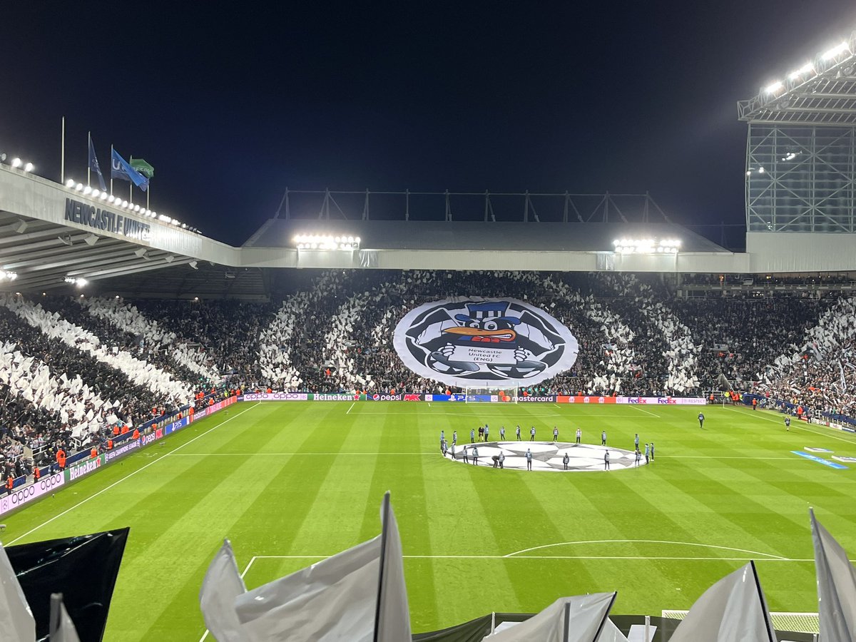 Toon Polls tweet media