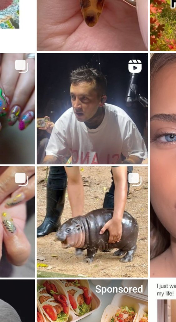 FunkoFun2's tweet image. TYLER HOLDING MOO DENG CONFORMED!?!?!?!