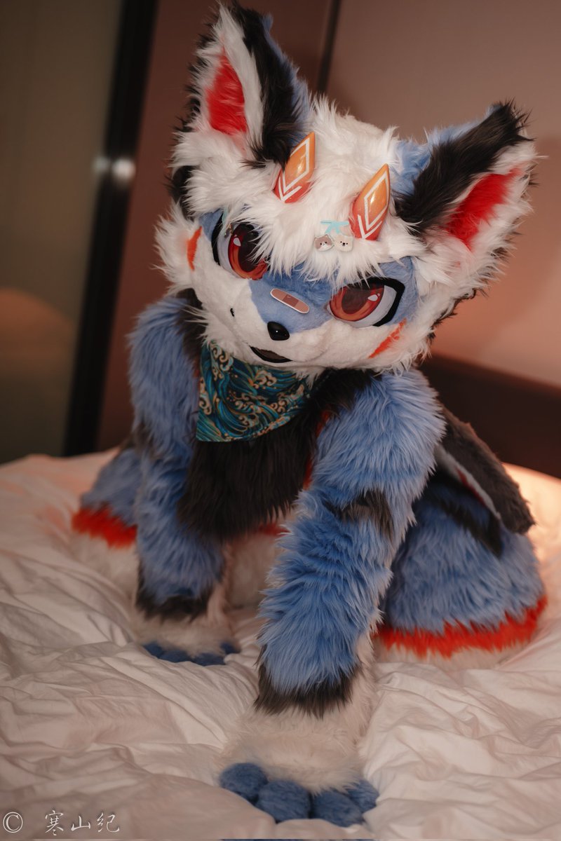 这么晚还不睡哇，那就让咱来陪乃叭w
#FURRY