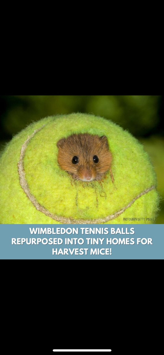 Biology at King's tweet media