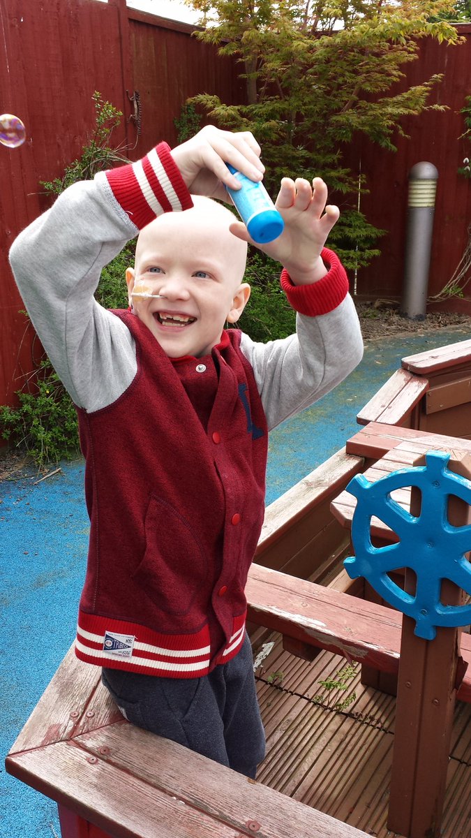 Harry Johnson Trust tweet media