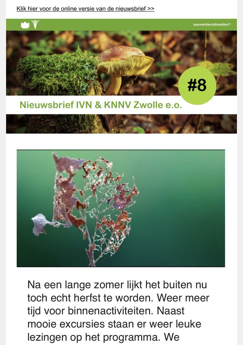 Onze digitale nieuwsbrief van september samen met onze vrienden van  @ivnzwolle is weer uit! 
Interesse, lees onze nieuwsbrief! 
#knnvzwolle
#knnv 
#Zwolle
#natuur
#waarneming 
#eropuit
#genieten
#leesgratismee

mailchi.mp/698002115827/n…