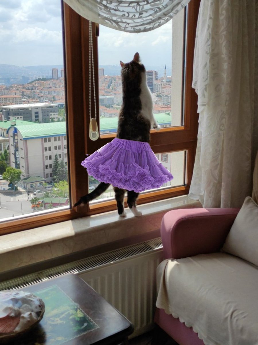 ezgi (@blairskarma) on Twitter photo 