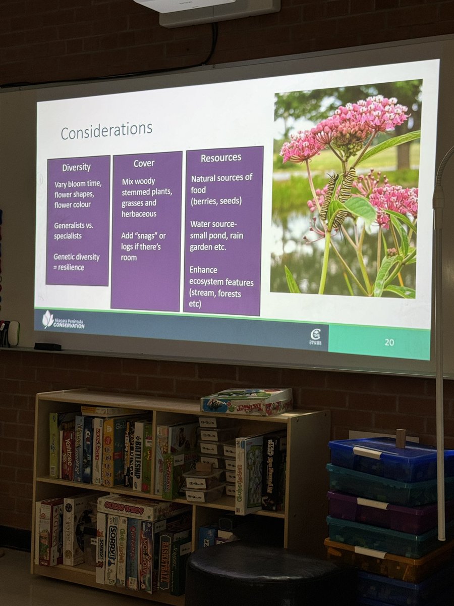 Mme Arsenault-Howick (@classe8a) on Twitter photo Great visit and presentation
by Katy from <a href="/NPCA_Ontario/">NPCA</a> with our Garden club today to help with planning our Pollinator Garden at <a href="/FIecoleCentral/">Central French Immersion Public School</a> <a href="/dsbn/">District School Board of Niagara</a> <a href="/EcoSchoolsCAN/">EcoSchools Canada</a> Great visit and presentation
by Katy from <a href="/NPCA_Ontario/">NPCA</a> with our Garden club today to help with planning our Pollinator Garden at <a href="/FIecoleCentral/">Central French Immersion Public School</a> <a href="/dsbn/">District School Board of Niagara</a> <a href="/EcoSchoolsCAN/">EcoSchools Canada</a>