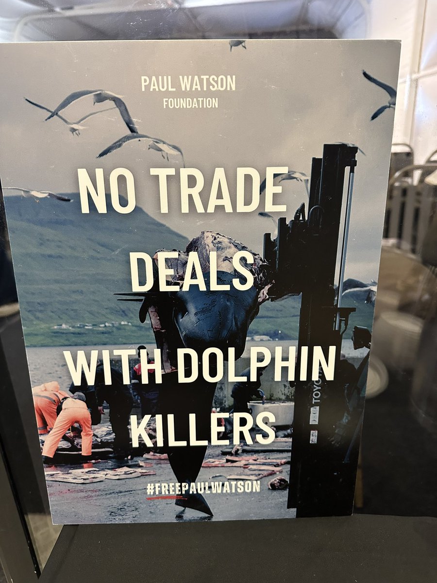 emeliobedelio's tweet photo. Currently at the fringe event on the Faroes #Grindadrap at #LabourConference.
Great panelist’s some of who have had to watch the horrendous barbarity. It’s not tradition it’s SLAUGHTER.
Suspend trade agreements now.
With @domdyer70 @NeptunesPirates @fishvetmj https://t.co/bZrRsMHD8m