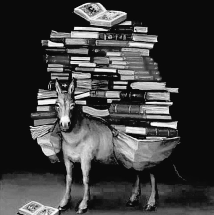 APearlInDOcean's tweet photo. مسئلہ جاہل ہونے سے نہیں ہوتا
مسئلہ تب ہے جب آپ پڑھے لکھے جاہل ہوں۔
۔۔
جاہلوں میں نہیں ملے اتنے
جتنے جاہل پڑھے لکھوں میں ملے۔ https://t.co/Y2QQbFSgl4