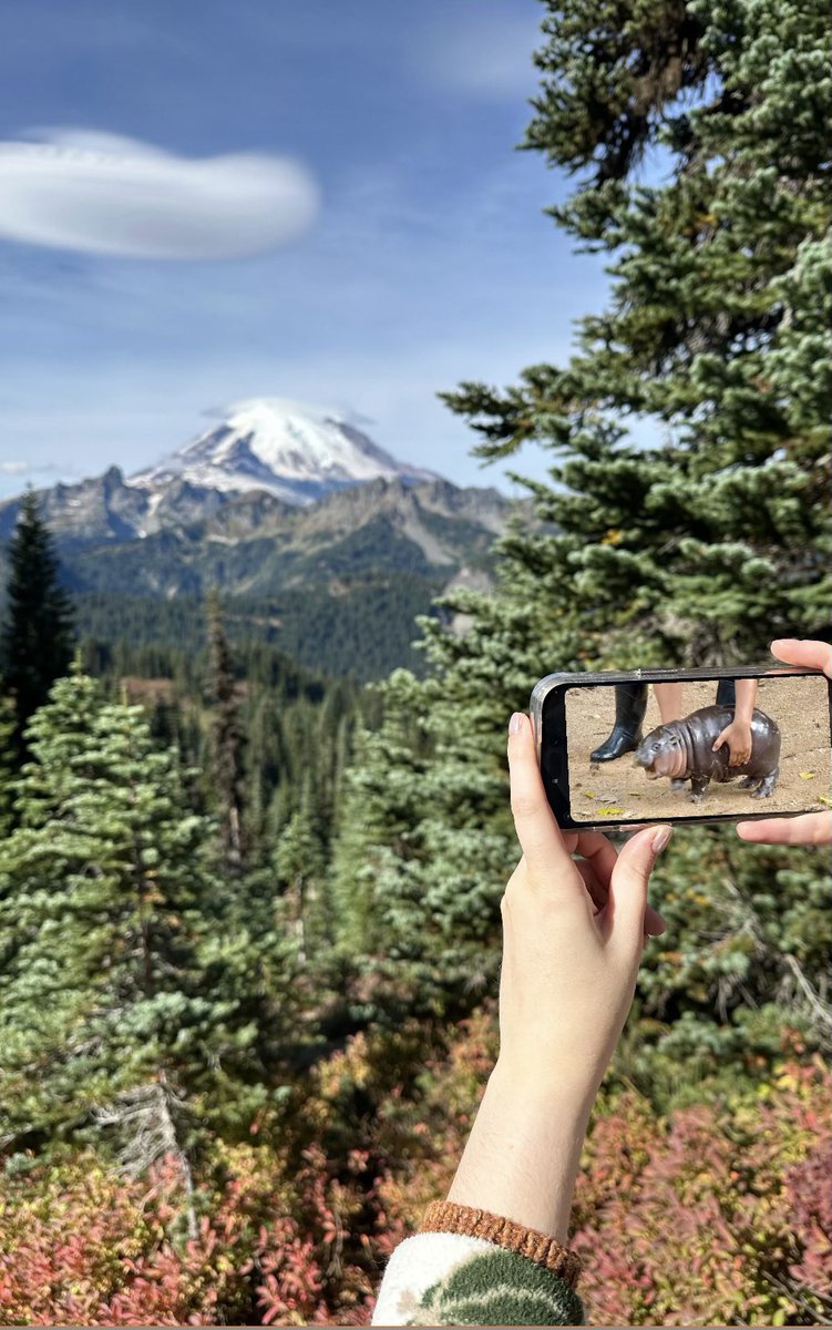 Rae, Rocky, Roach, Rockle tweet media