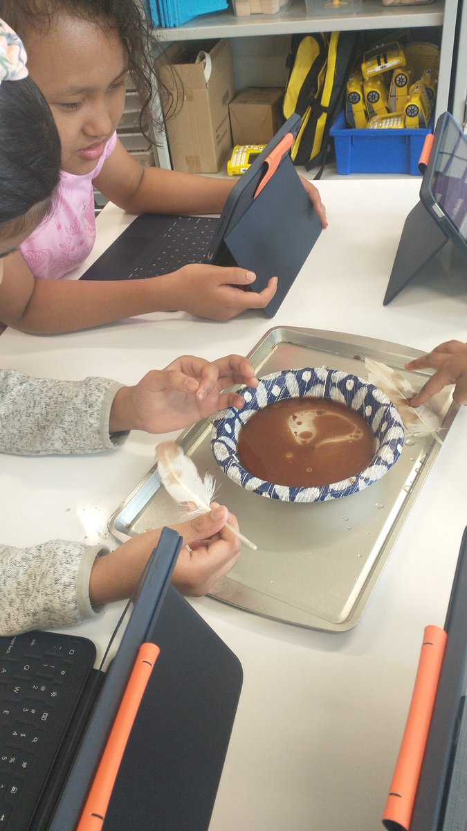 Learning about oil spills while exploring mixtures and solutions 
<a href="/CRECoyotes/">Canyon Ranch Elementary</a> 
#STEM