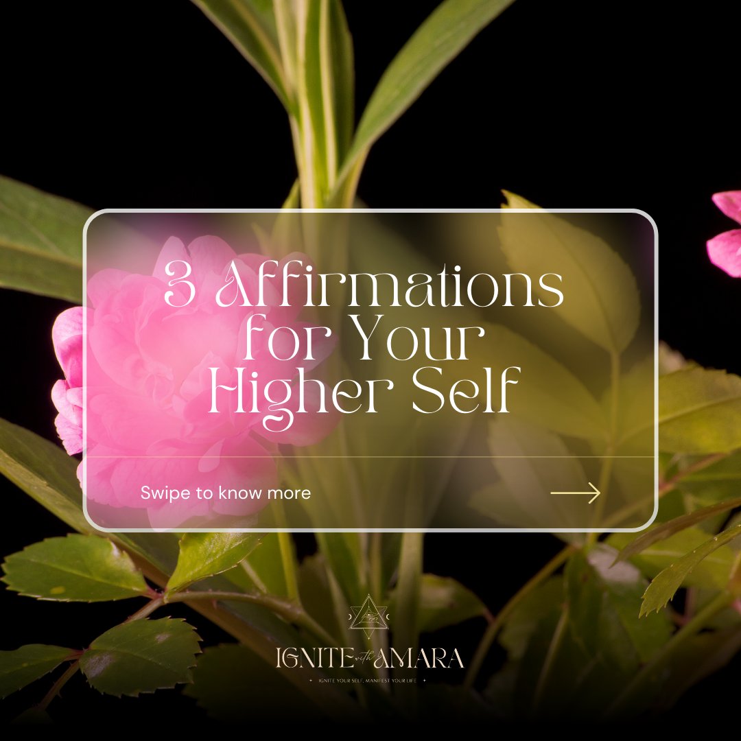 Amara Annick tweet media