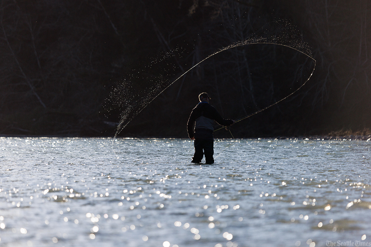 ErikaJSchultz's tweet photo. Steelhead are Washington’s state fish and define the wildness of the Pacific Northwest. But they’re one of the most threatened species in the state: https://t.co/bzeGH8DBkh 
@LyndaVMapes @laurenfrohne @ramondompor https://t.co/pfH4oLbCwI