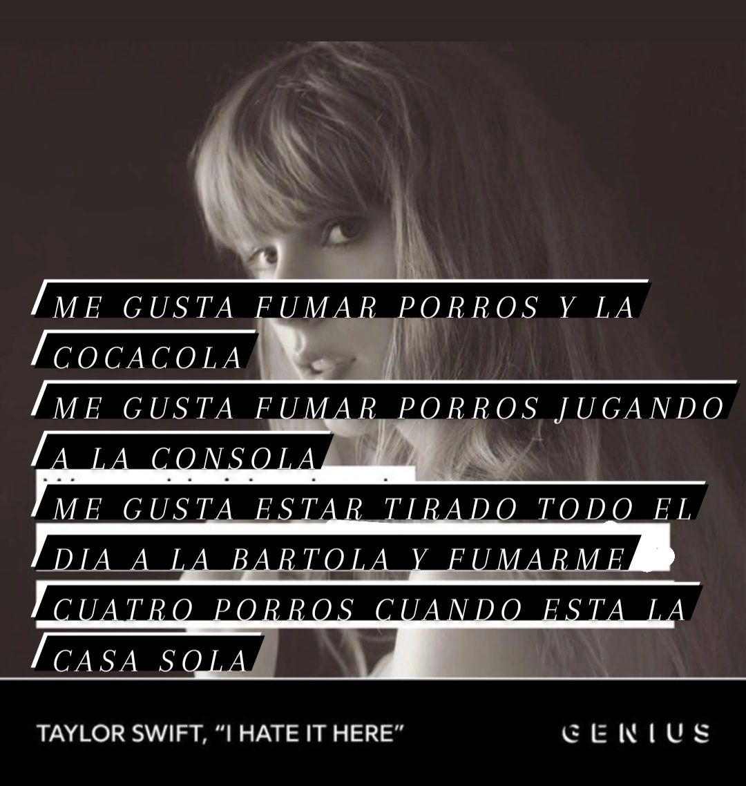 chincheto pirata somali (@wikipistacho) on Twitter photo 