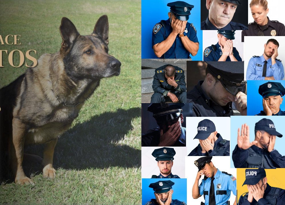 Joshless tweet media