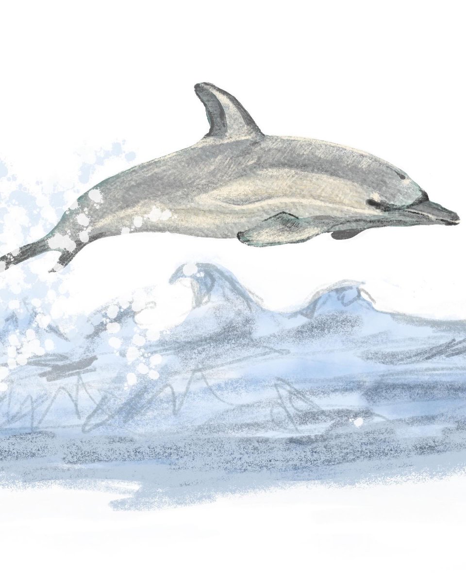 HigneyKate1 tweet media