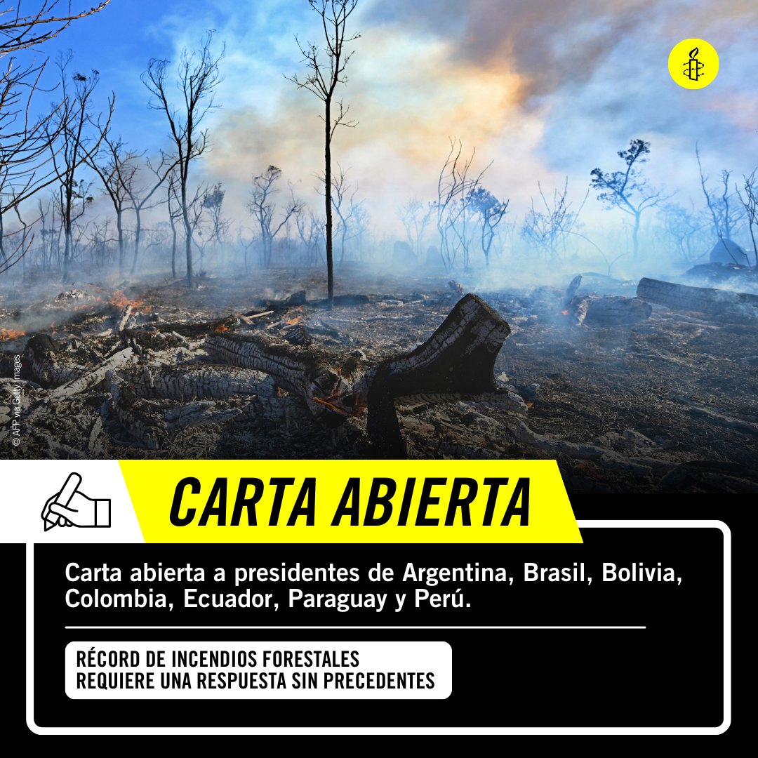 amnistia's tweet photo. Hoy Amnistía Internacional publicó una carta abierta dirigida a las presidencias de Argentina, Brasil, Bolivia, Colombia, Ecuador, Paraguay y Perú en la que pide a los gobiernos que intensifiquen sus acciones para extinguir los incendios forestales 

Conoce más👇🧵 https://t.co/zDV1zN8zHE