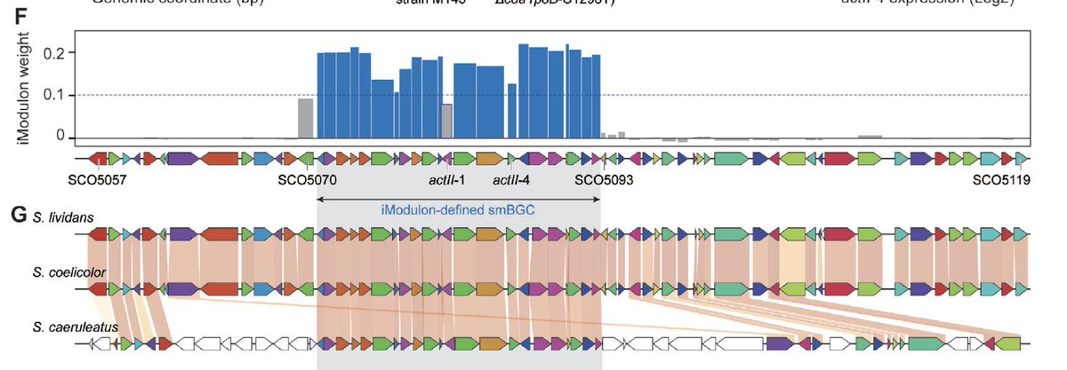 A combo of data analytic &amp; synthetic bio has now revealed the transcriptional regulation of 25 of S. coelicolor’s biosynthetic gene clusters, an important advance towards the goal of controlling the production rate of these  metabolites bit.ly/4eAnplc <a href="/UCSDJacobs/">UCSD Engineering</a>