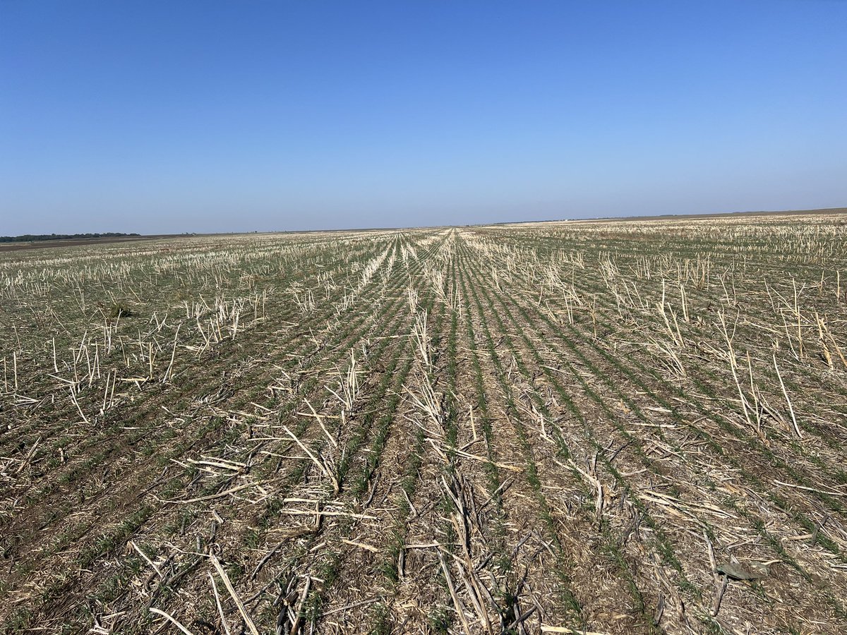 Hans D Poulsen tweet media