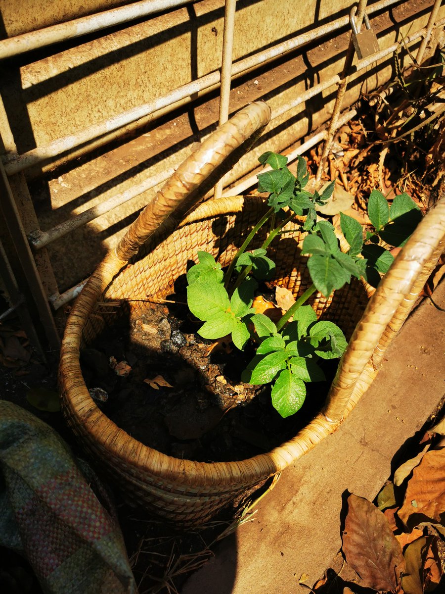 I'm following in your footsteps 1 way or another diya 🙃🙃