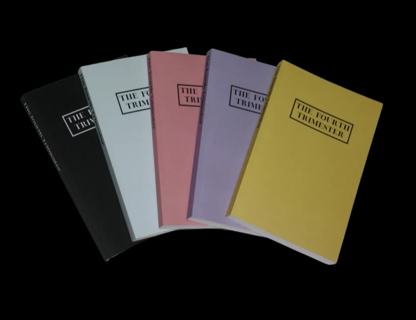 INTOUCH_RUGBY's tweet photo. THE FOURTH TRIMESTER … a journal that is a new mum’s best friend in the first 12 weeks. From https://t.co/UrArYvn2y1 Solo Mum Society ... now live @ https://t.co/mfuNWdJEhw ! #solomum #ad #journal #fourthtrimester https://t.co/U3Z9YLQcZI