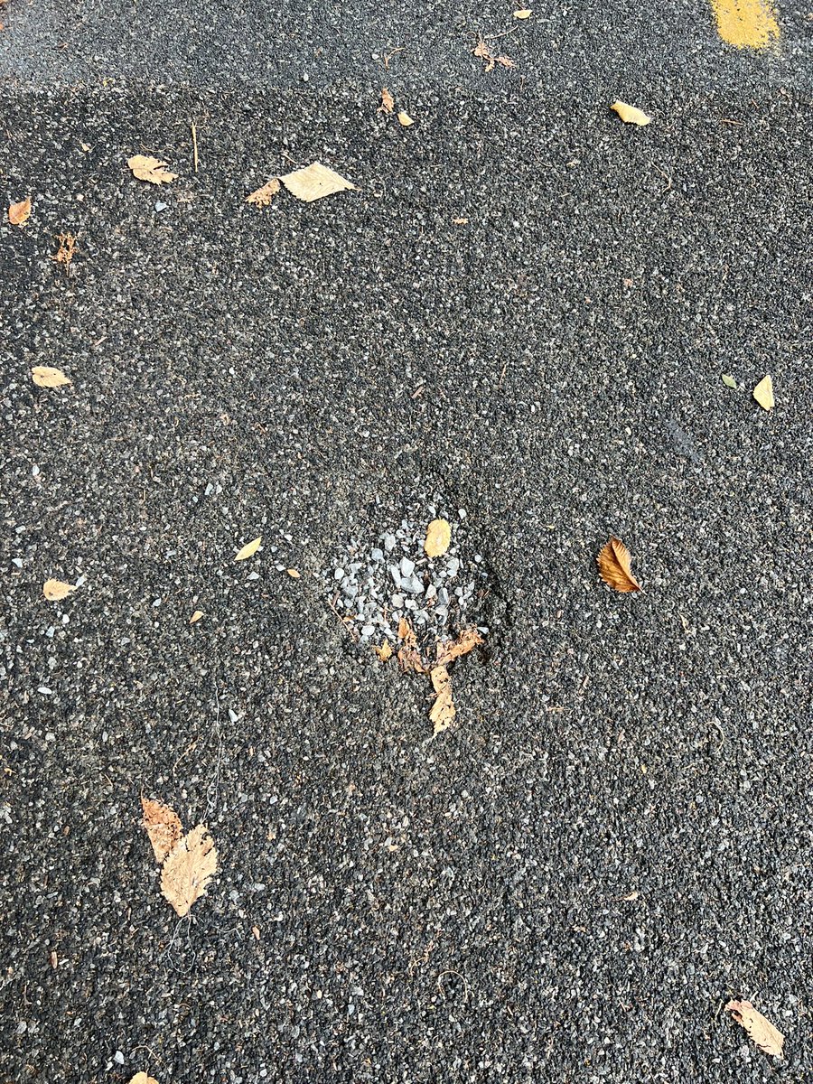 Hi <a href="/311DCgov/">DC311</a> there’s a pothole in the bike lane in front of 790 Maine St SW