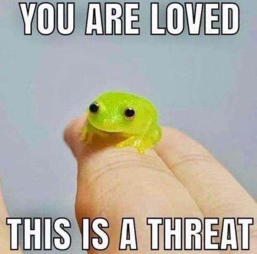 WholesomeMemes tweet media