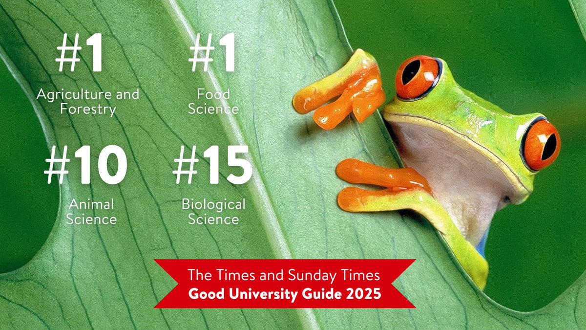 School of Biological Sciences (@qubbioscience) on Twitter photo We're celebrating! The latest <a href="/thetimes/">The Times and The Sunday Times</a> Good University Guide has our School ranked 1st in the UK for Agriculture and Food Science. Animal Science is 10th and Bio. Science 15th! 🏆
A massive thank you to all of our fantastic staff & students for their dedication & efforts.👩🔬🎓 We're celebrating! The latest <a href="/thetimes/">The Times and The Sunday Times</a> Good University Guide has our School ranked 1st in the UK for Agriculture and Food Science. Animal Science is 10th and Bio. Science 15th! 🏆
A massive thank you to all of our fantastic staff & students for their dedication & efforts.👩🔬🎓