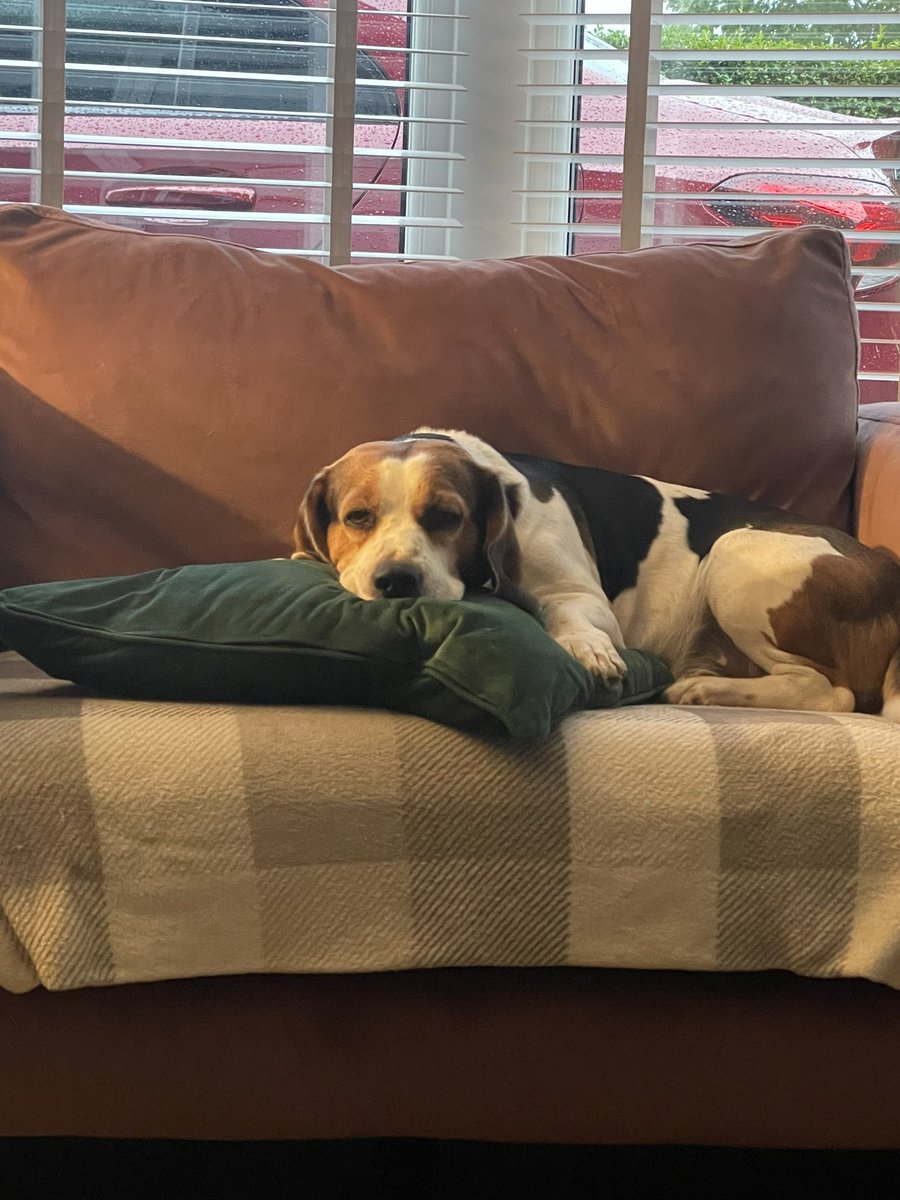 Dylan 🏴 tweet media