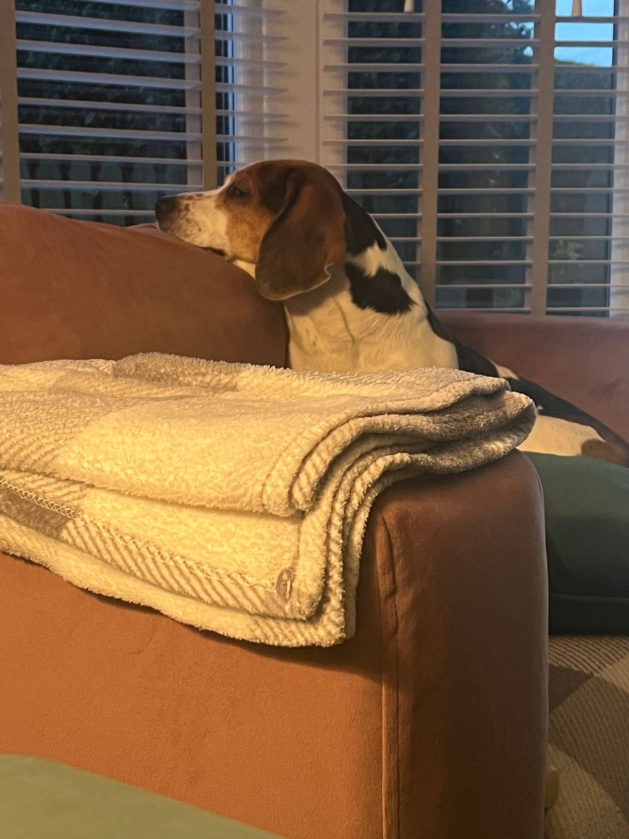 Dylan 🏴 tweet media