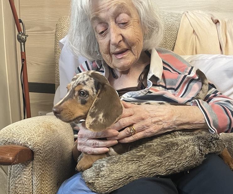 Lovely little visit from this 10 week old pup named Enzo and what a little cutie he is 💖<a href="/AnchorLaterLife/">Anchor</a> #puppy #PuppyLove #dog #therapy #care #carehomes
