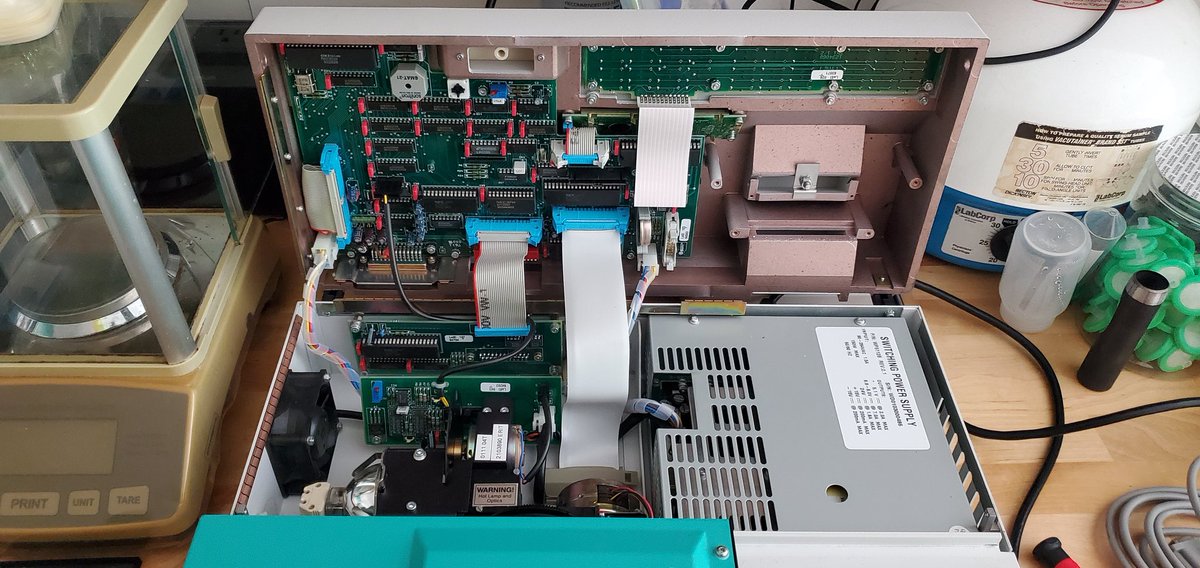 Sebastian S. Cocioba🪄🌷 tweet media