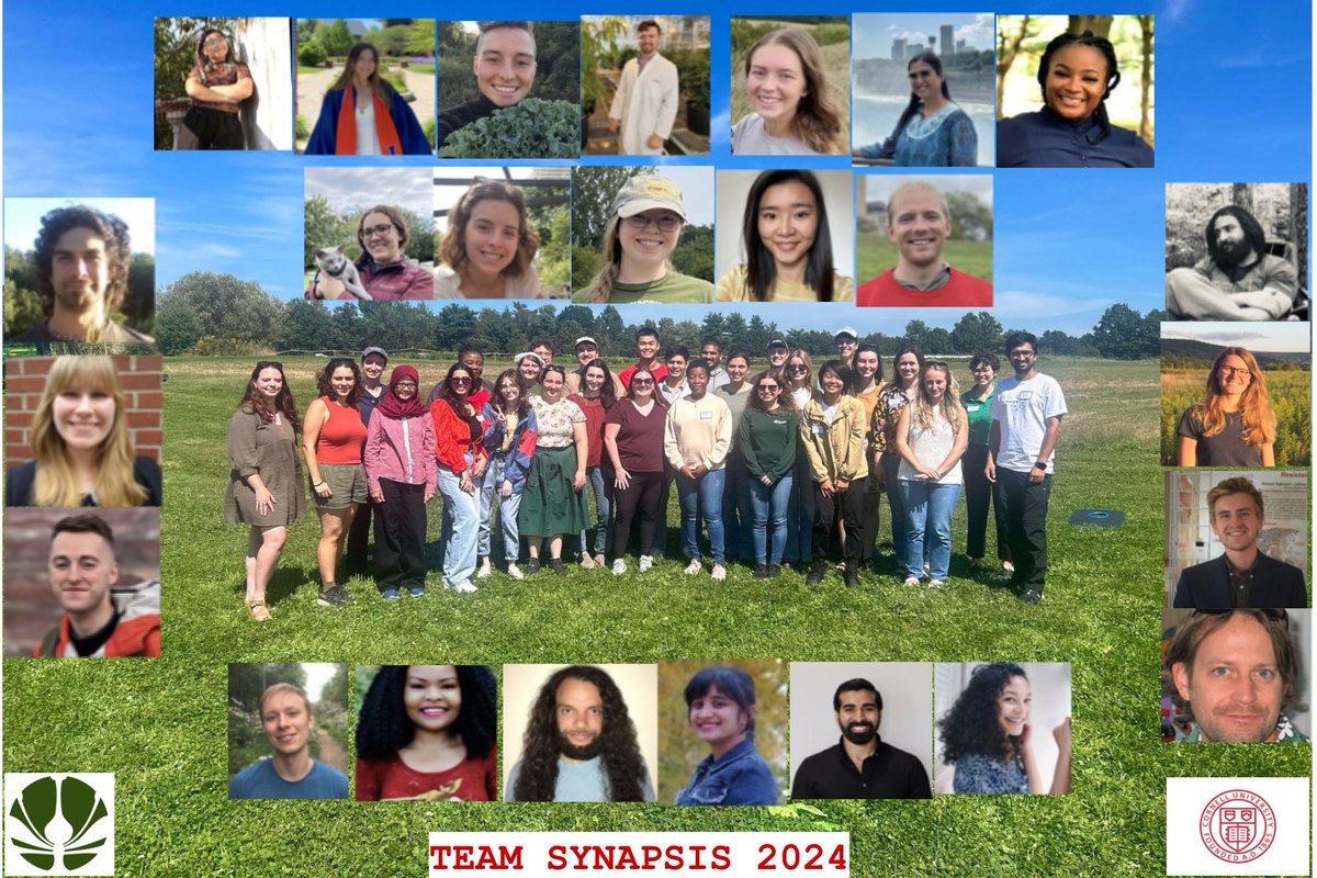 Cornell Synapsis tweet media