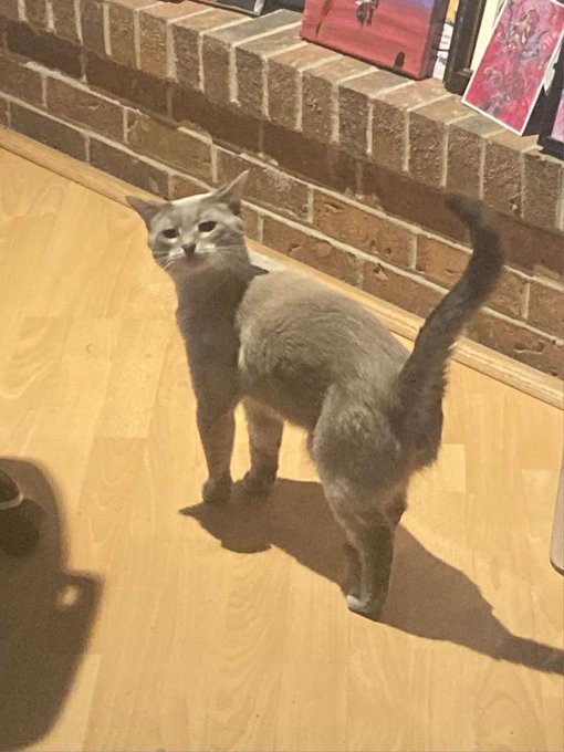 Watch Pleasure Forge -Next Drop- | 7/10 | 8PM EST's leaked NSFW photo on TwXstars