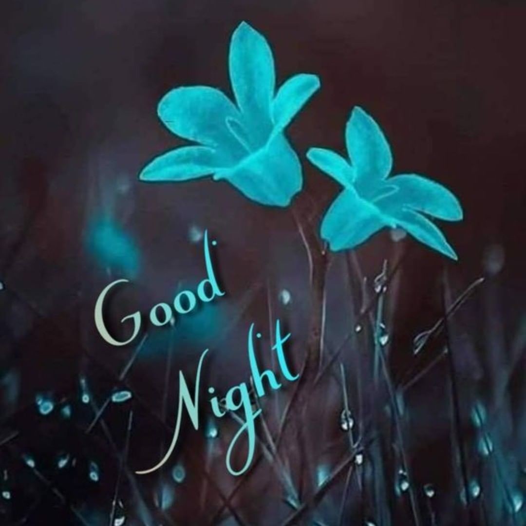 हमारा एक छोटा 
बदलाव , एक बड़े कल 
को जन्म देता है
Good night