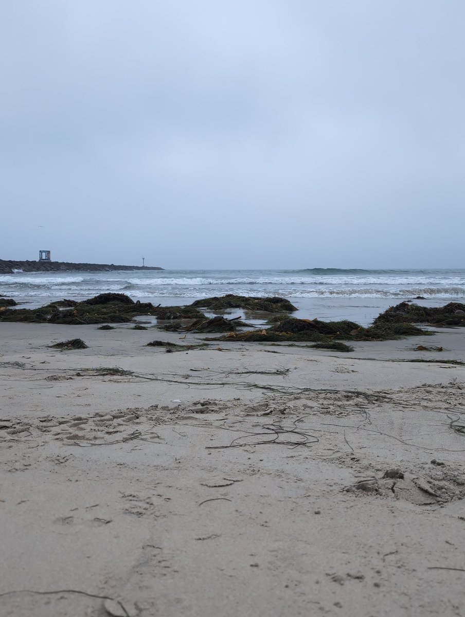 Needlessbob's tweet image. I did this thing where I went to the beach/ocean and sat there for a moment, wild shit I know, the ocean is still a spooky scary thing cause I cant see the bottom once you go far enough out.