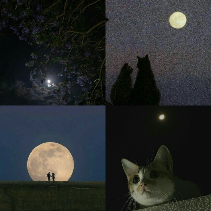 elemmiressoul's tweet photo. the beauty of moon. https://t.co/DVOZAnQhf8
