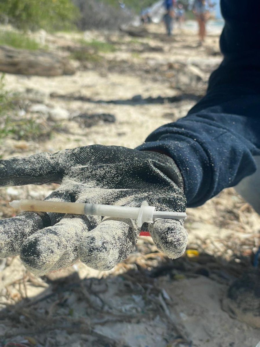 Gracias a los Guardianes de la Naturaleza que cuidan a nuestro paradiso tan hermoso! 🌊💫🌴
est #MonthlyEarthDay nos enfocamos en microplasticos para proteger nidos de tortugas
Recojimos 300 kilos de plastico, 10 de esos microplasticos <a href="/cleanify_vet/">Cleanify</a> <a href="/petgasmx/">Petgasmx 💫🌱 🌎 ♻</a> @coworkingtulum
