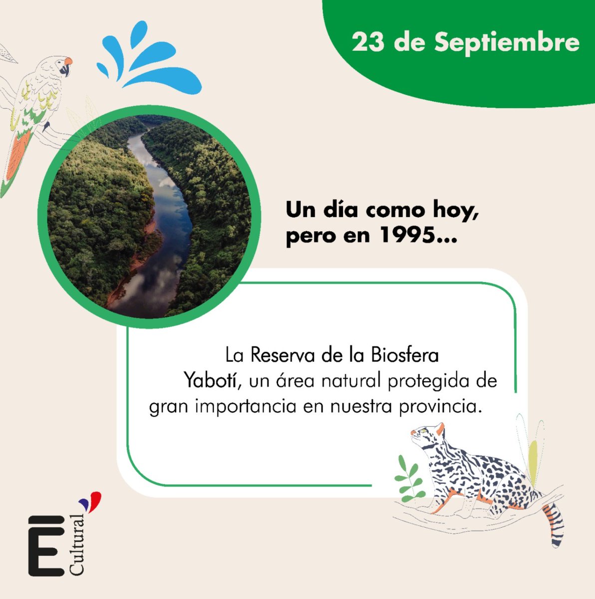 EstacionVia's tweet photo. Esta reserva resguarda especies de flora y fauna en peligro de extinción, como el yaguareté y el tapir, además de ser el hogar de comunidades guaraníes. Un verdadero tesoro natural que debemos proteger y valorar. 🌿 https://t.co/loMol3A8VX