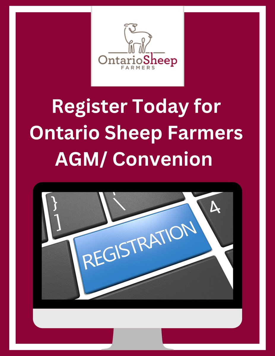 Ontario Sheep tweet media