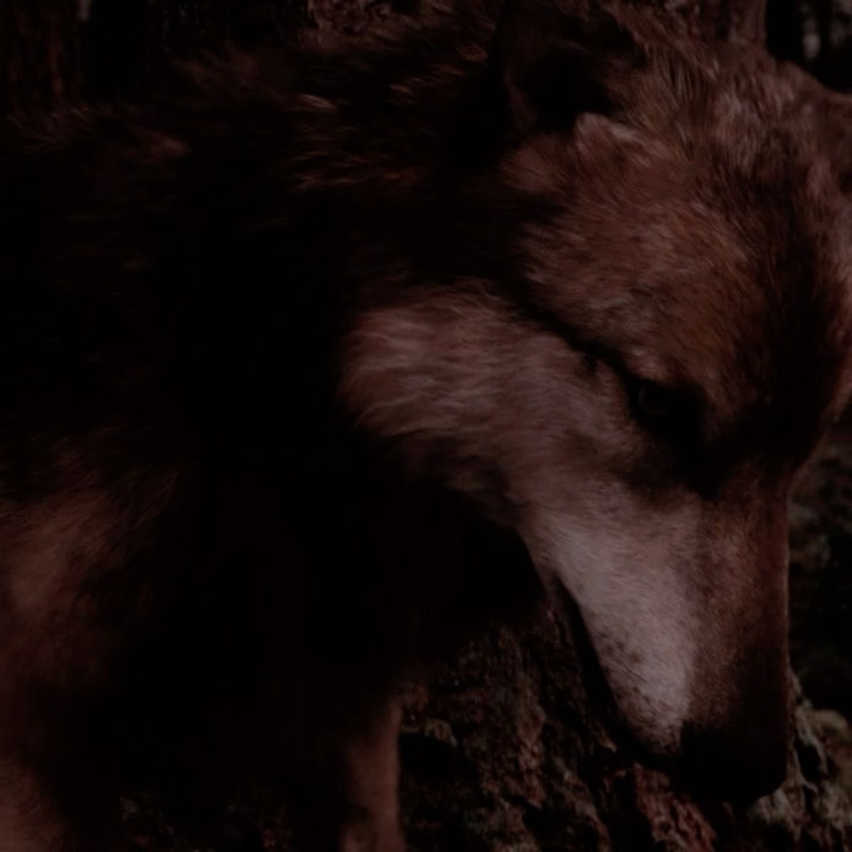 thirdincommandd's tweet image. ⠀⠀⠀

                     𝑪𝑳𝑬𝑨𝑹𝑾𝑨𝑻𝑬𝑹 , 𝑺𝑬𝑻𝑯
⠀