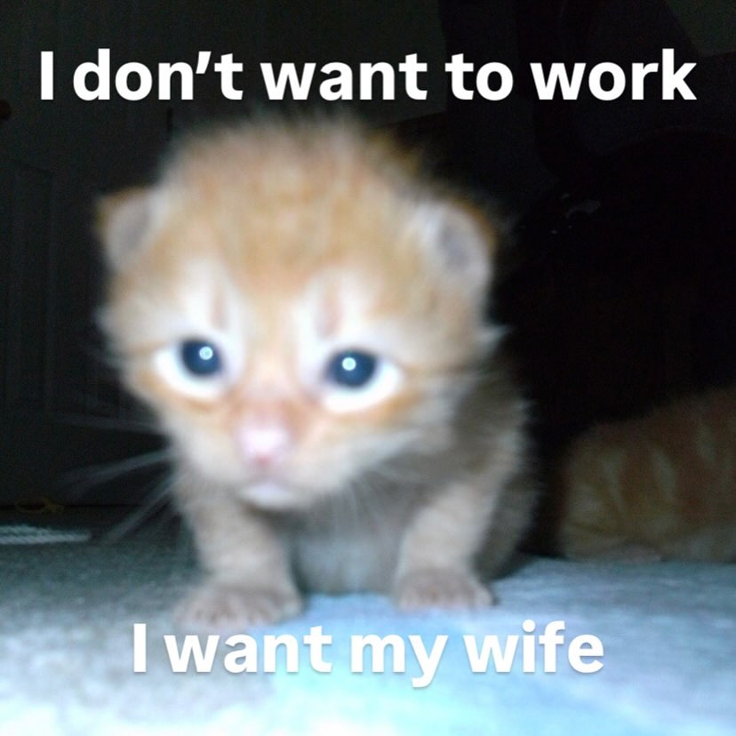 I want my wife